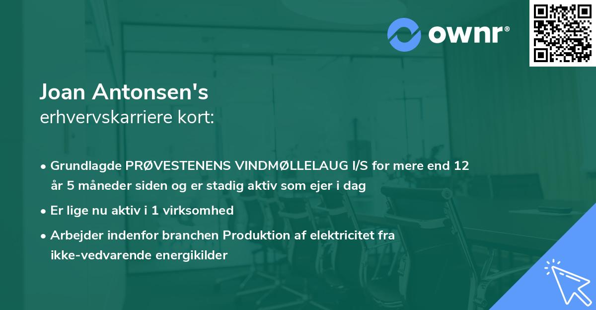 Joan Antonsen's erhvervskarriere kort