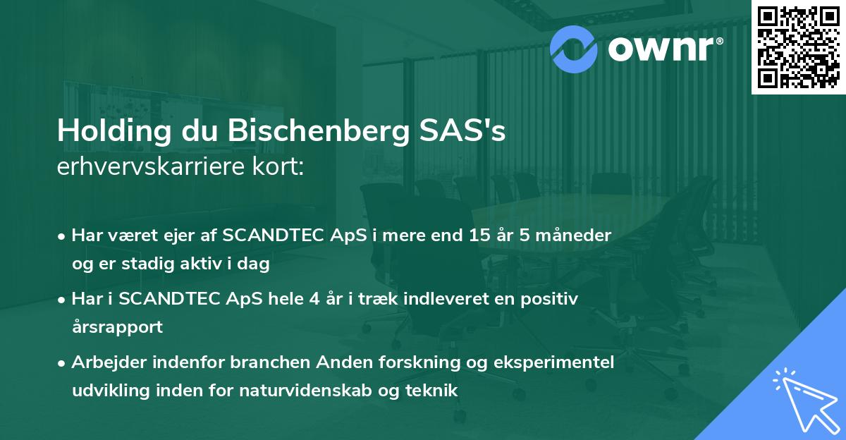 Holding du Bischenberg SAS's erhvervskarriere kort