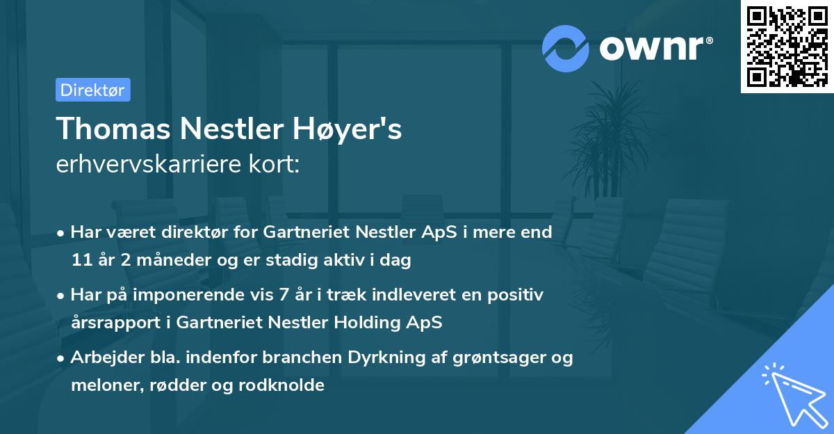 Thomas Nestler Høyer's erhvervskarriere kort