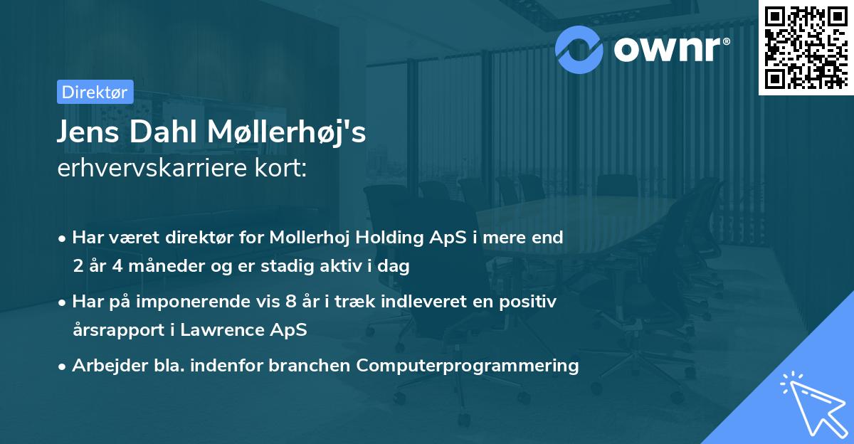 Jens Dahl Møllerhøj's erhvervskarriere kort