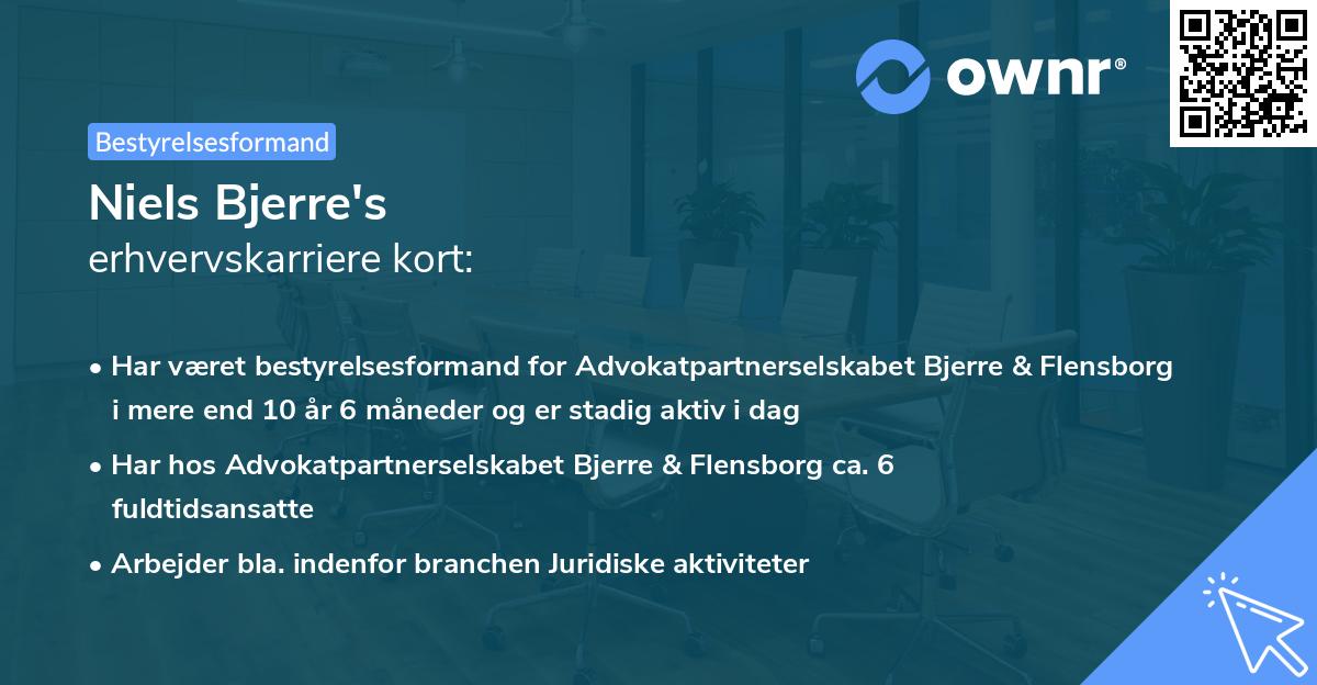 Niels Bjerre's erhvervskarriere kort