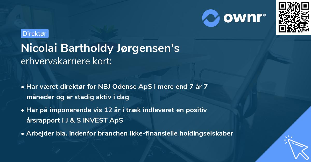 Nicolai Bartholdy Jørgensen's erhvervskarriere kort