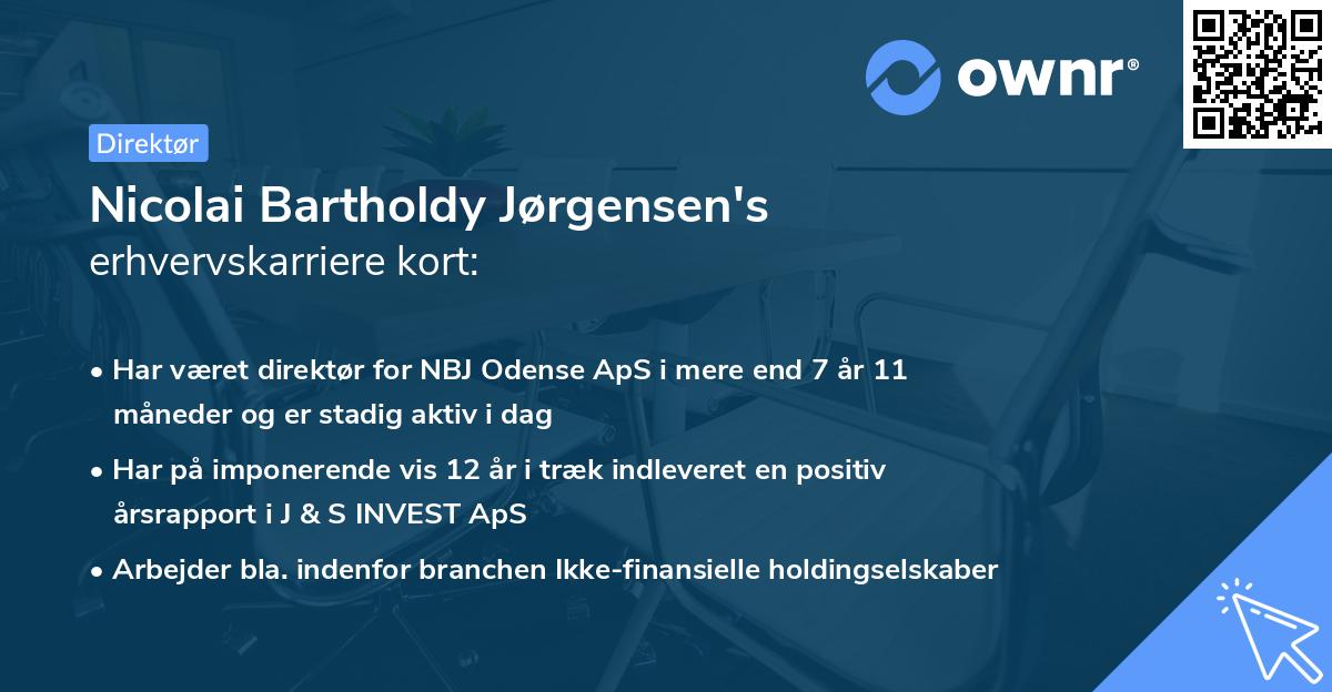Nicolai Bartholdy Jørgensen's erhvervskarriere kort