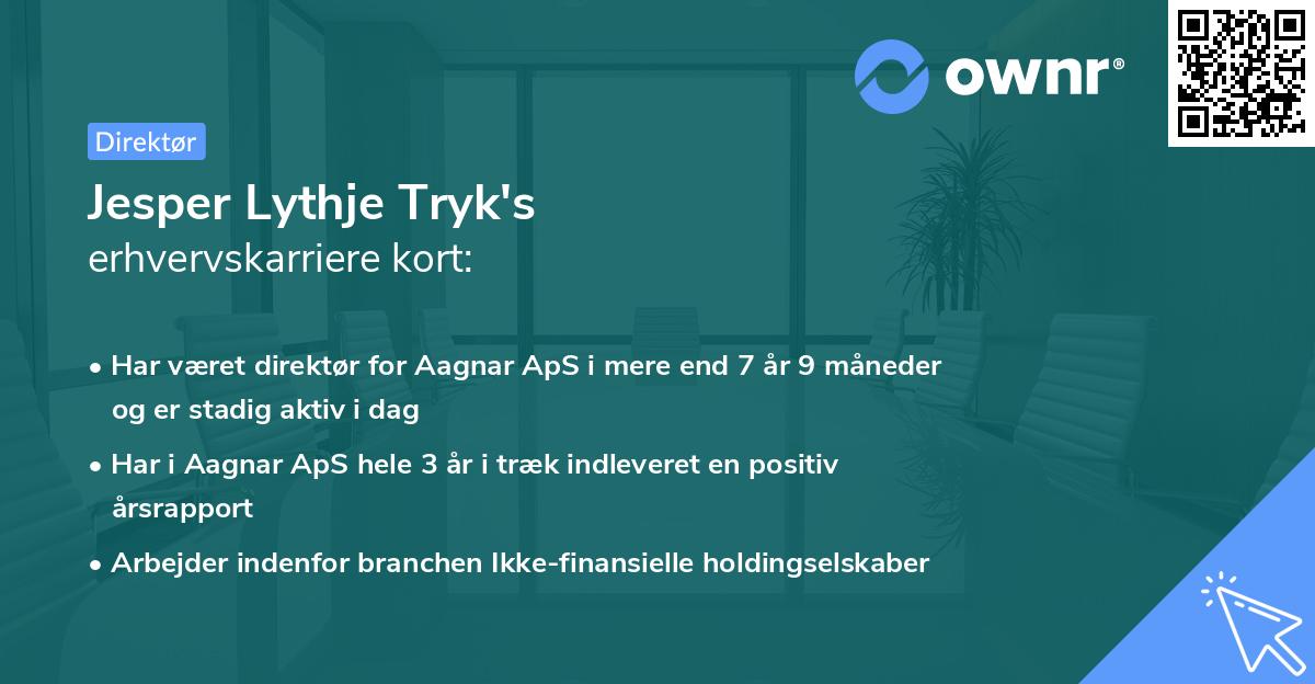 Jesper Lythje Tryk's erhvervskarriere kort