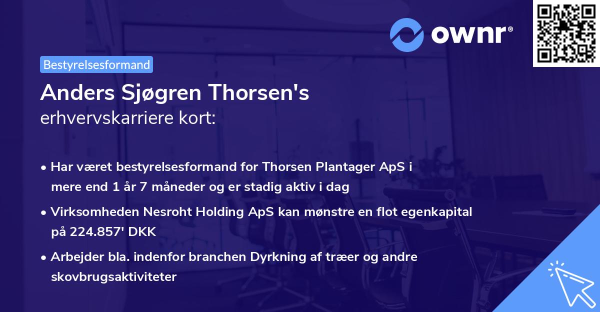 Anders Sjøgren Thorsen's erhvervskarriere kort