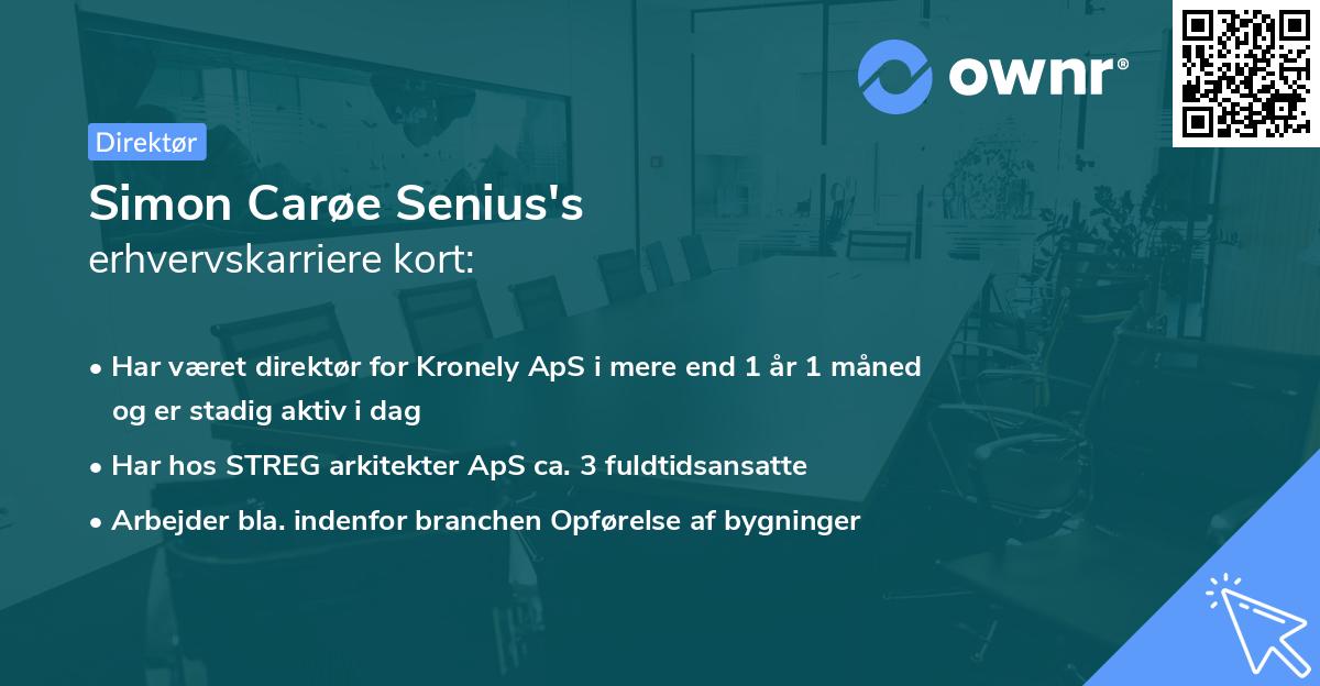 Simon Carøe Senius's erhvervskarriere kort