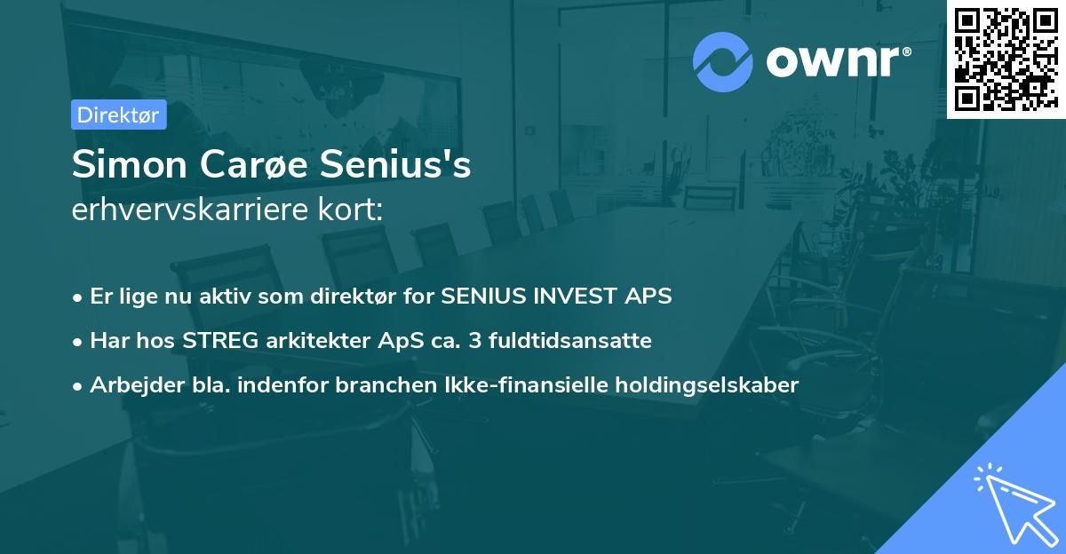 Simon Carøe Senius's erhvervskarriere kort