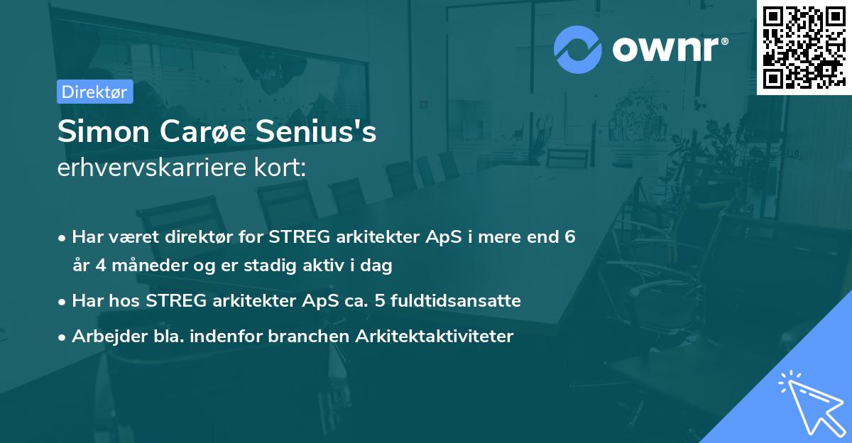 Simon Carøe Senius's erhvervskarriere kort