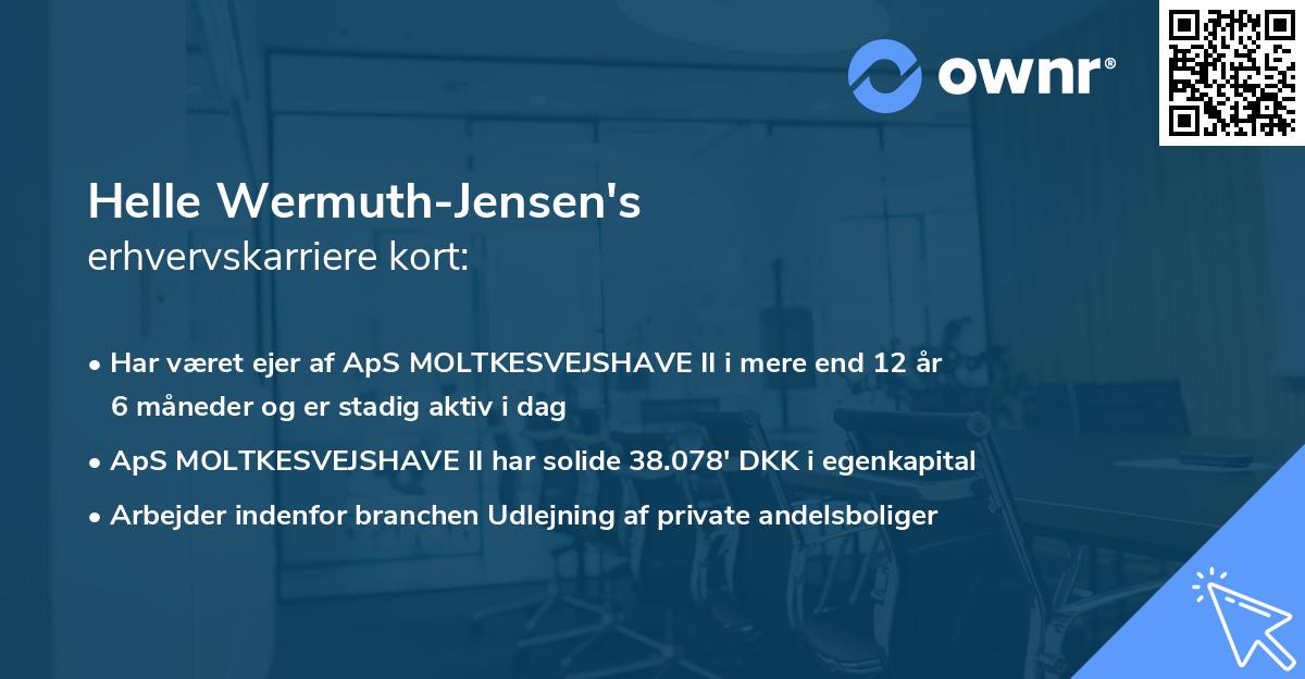 Helle Wermuth-Jensen's erhvervskarriere kort