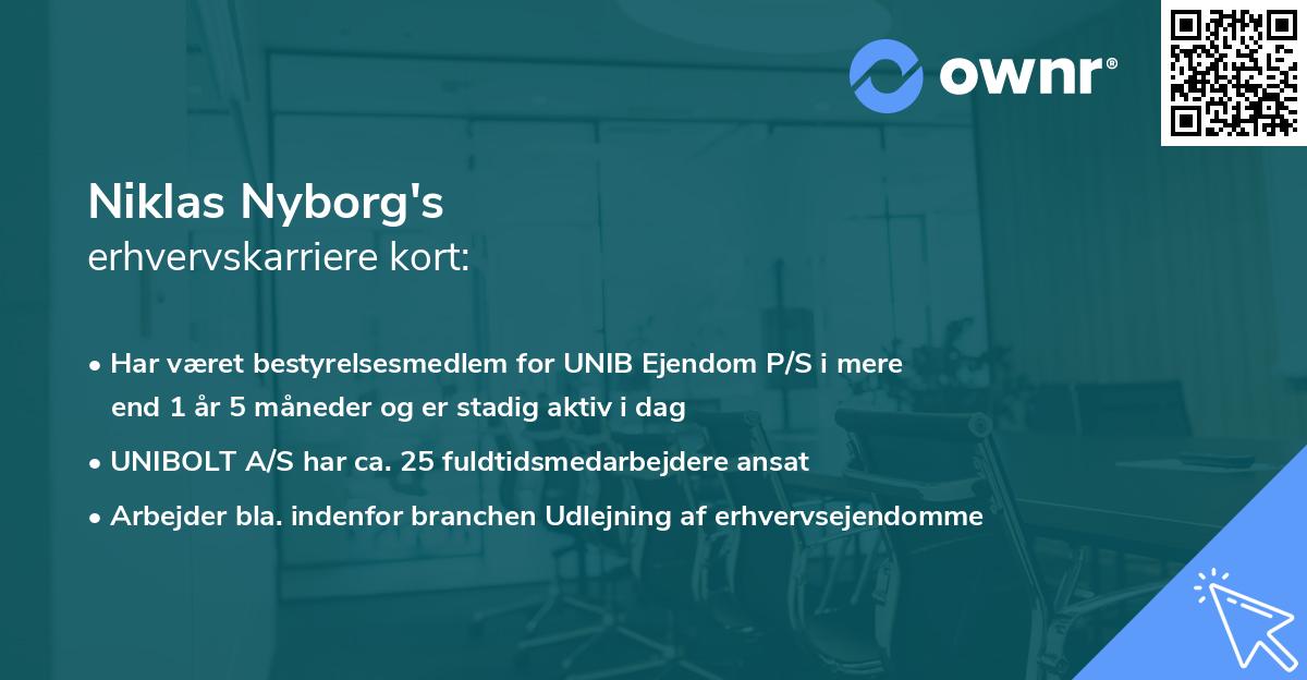 Niklas Nyborg's erhvervskarriere kort