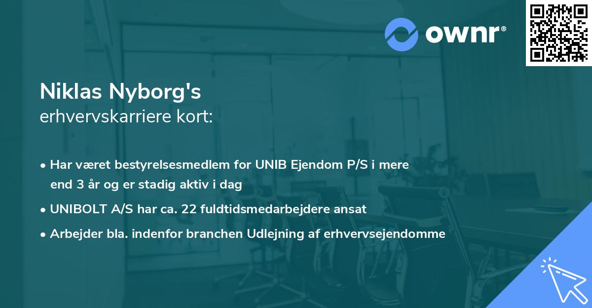 Niklas Nyborg's erhvervskarriere kort