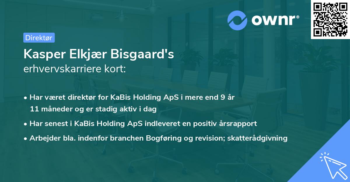 Kasper Elkjær Bisgaard's erhvervskarriere kort