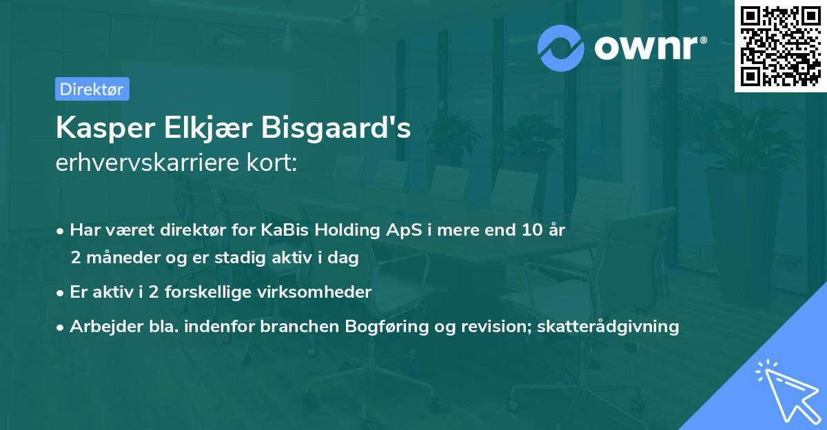 Kasper Elkjær Bisgaard's erhvervskarriere kort