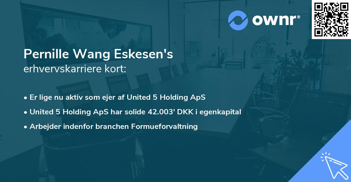 Pernille Wang Eskesen's erhvervskarriere kort