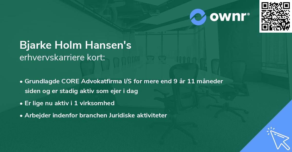 Bjarke Holm Hansen's erhvervskarriere kort