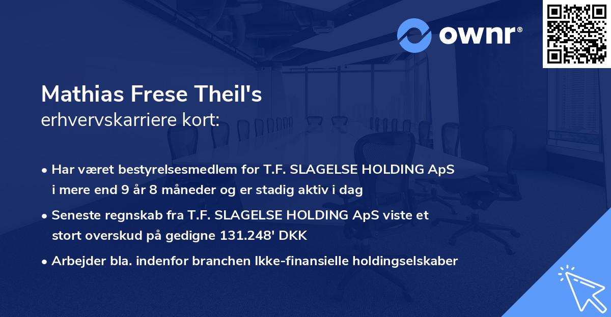 Mathias Frese Theil's erhvervskarriere kort