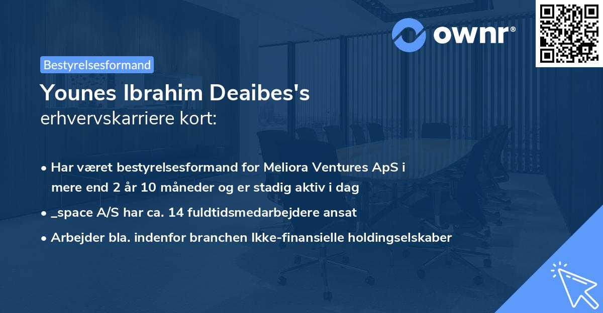 Younes Ibrahim Deaibes's erhvervskarriere kort