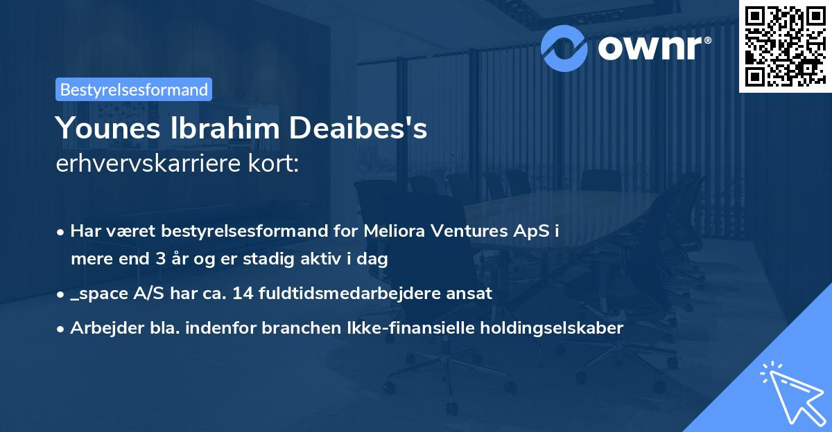 Younes Ibrahim Deaibes's erhvervskarriere kort