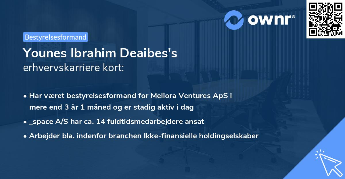 Younes Ibrahim Deaibes's erhvervskarriere kort