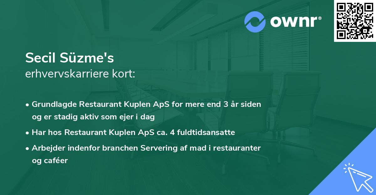 Secil Süzme's erhvervskarriere kort