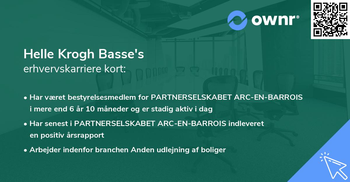 Helle Krogh Basse's erhvervskarriere kort