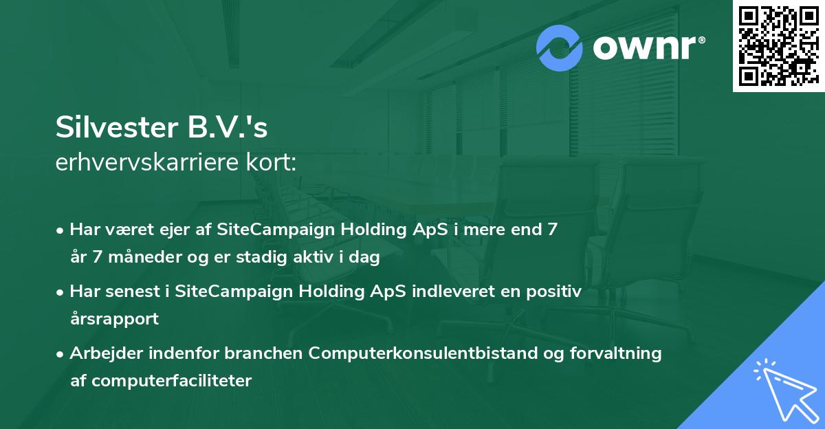 Silvester B.V.'s erhvervskarriere kort