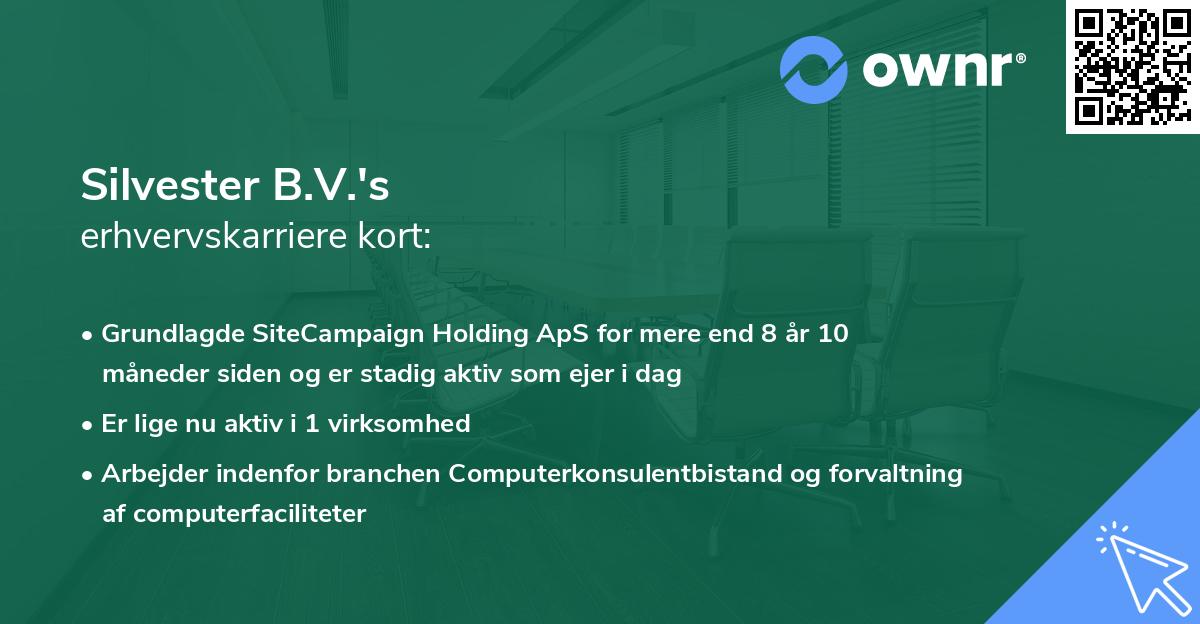 Silvester B.V.'s erhvervskarriere kort