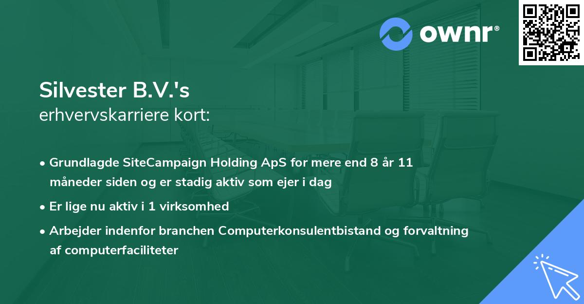 Silvester B.V.'s erhvervskarriere kort