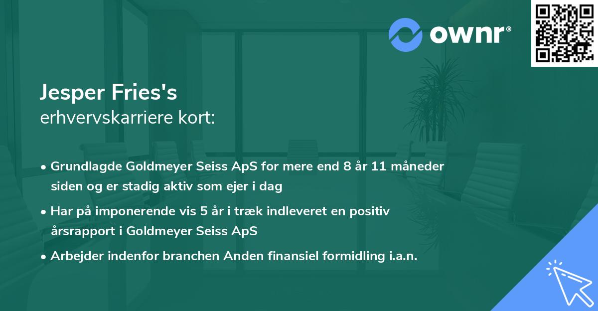 Jesper Fries's erhvervskarriere kort