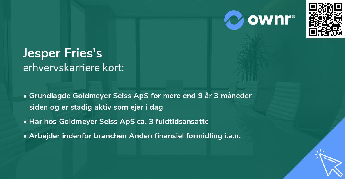 Jesper Fries's erhvervskarriere kort