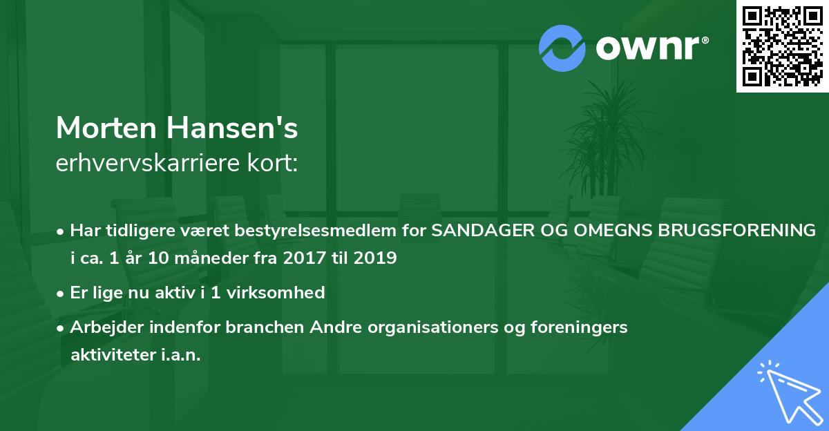 Morten Hansen's erhvervskarriere kort
