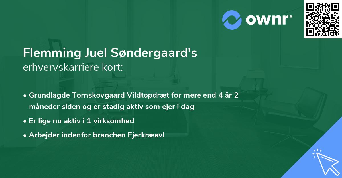 Flemming Juel Søndergaard's erhvervskarriere kort