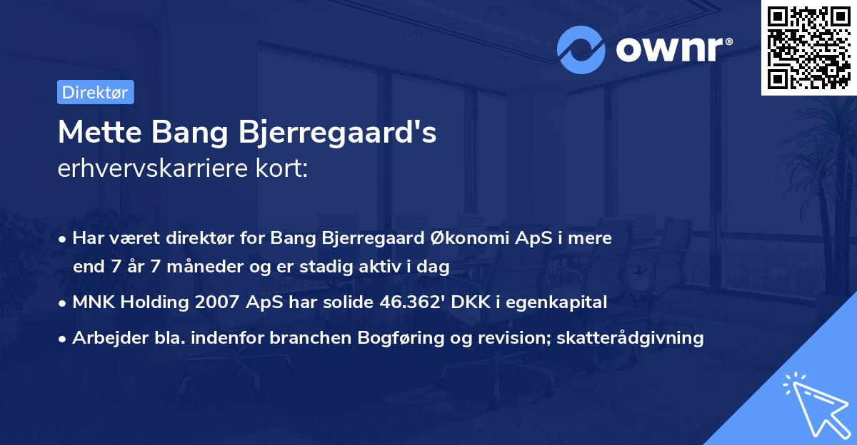 Mette Bang Bjerregaard's erhvervskarriere kort