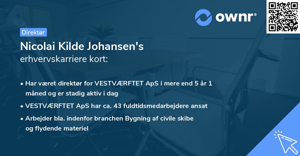 Nicolai Kilde Johansen's erhvervskarriere kort