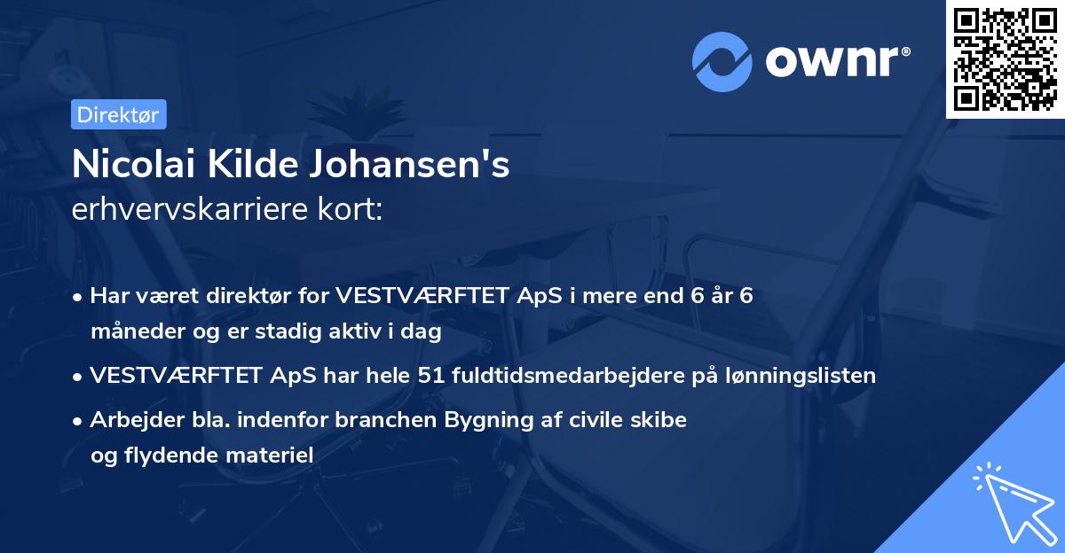 Nicolai Kilde Johansen's erhvervskarriere kort