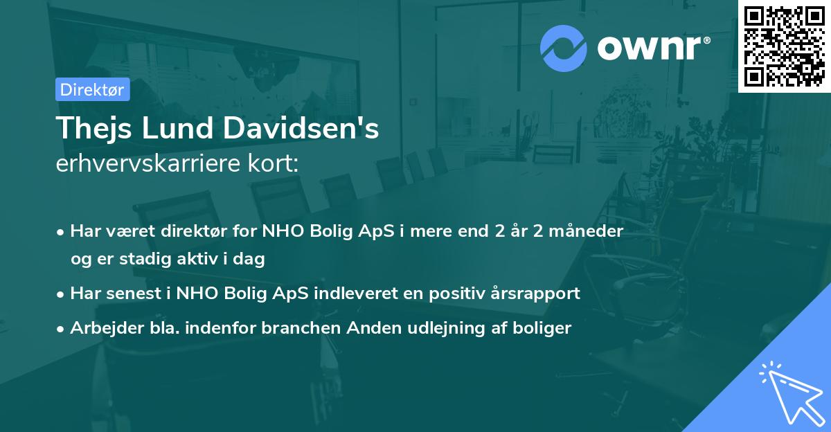 Thejs Lund Davidsen's erhvervskarriere kort