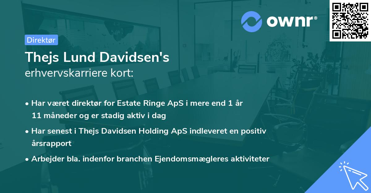 Thejs Lund Davidsen's erhvervskarriere kort