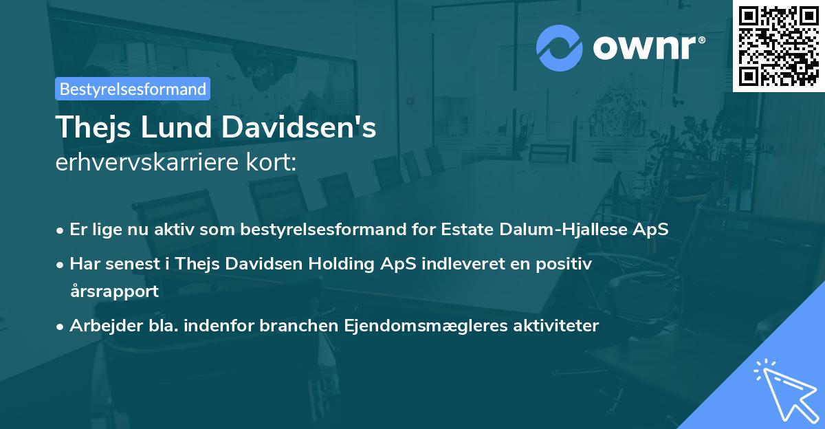 Thejs Lund Davidsen's erhvervskarriere kort