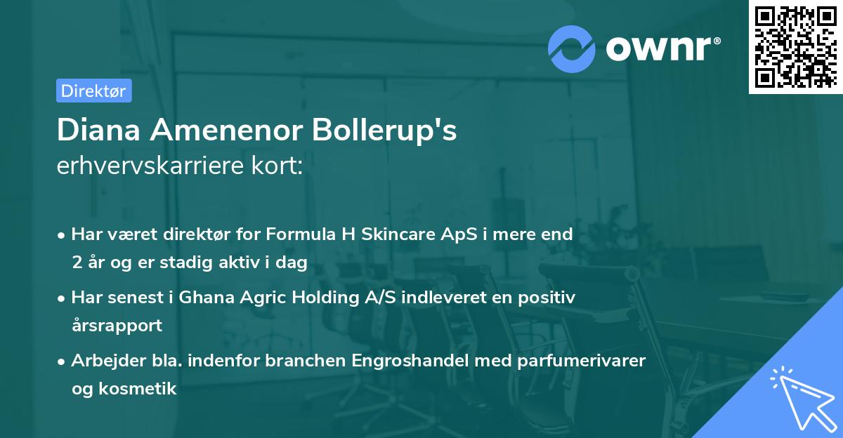 Diana Amenenor Bollerup's erhvervskarriere kort