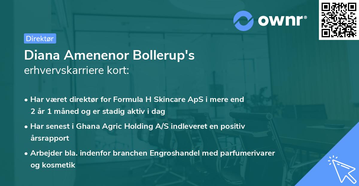 Diana Amenenor Bollerup's erhvervskarriere kort