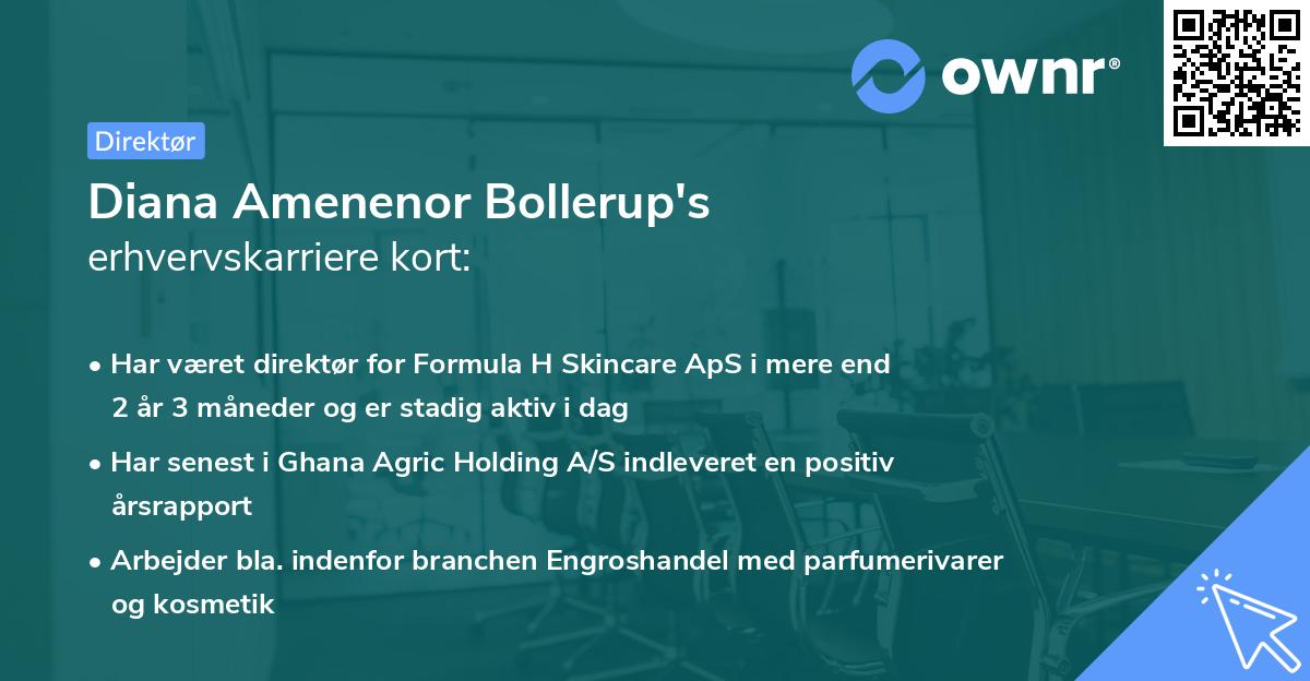 Diana Amenenor Bollerup's erhvervskarriere kort