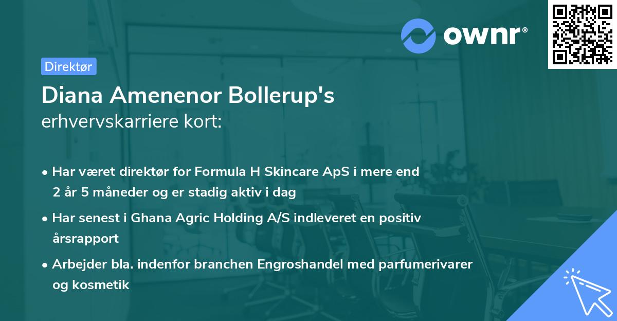 Diana Amenenor Bollerup's erhvervskarriere kort
