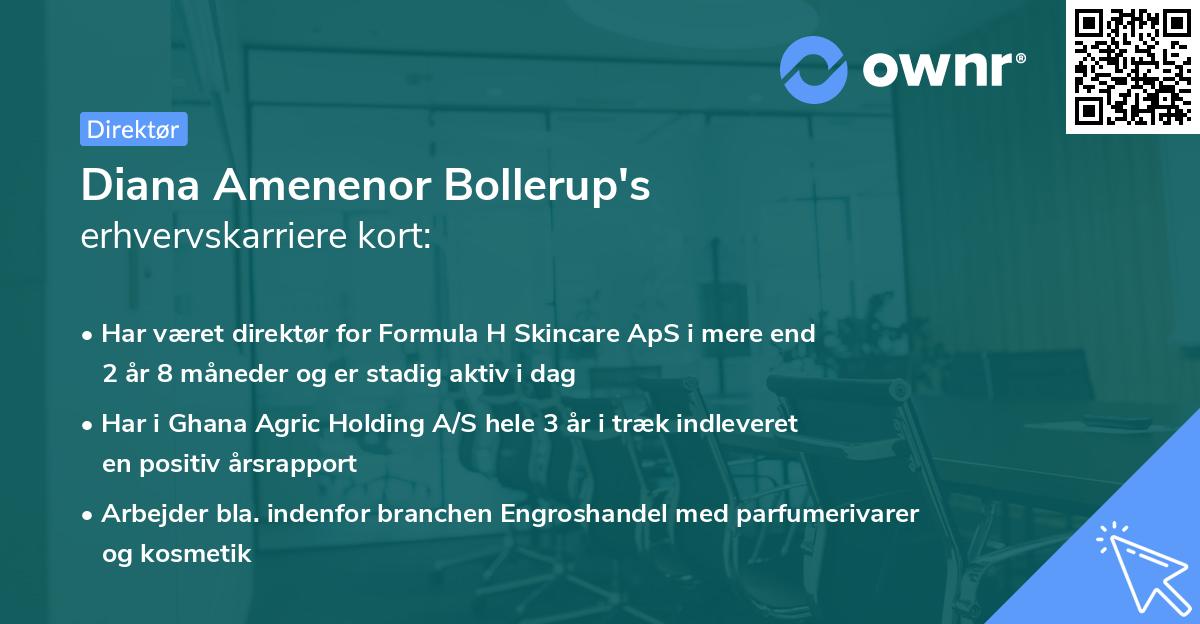 Diana Amenenor Bollerup's erhvervskarriere kort