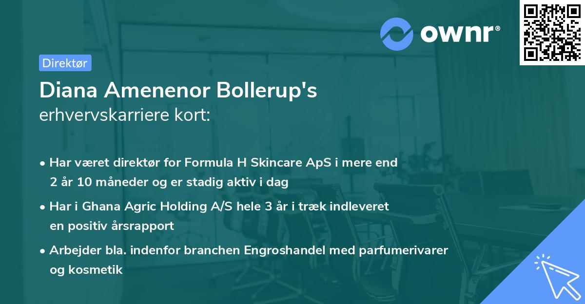 Diana Amenenor Bollerup's erhvervskarriere kort