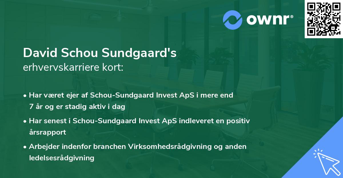 David Schou Sundgaard's erhvervskarriere kort