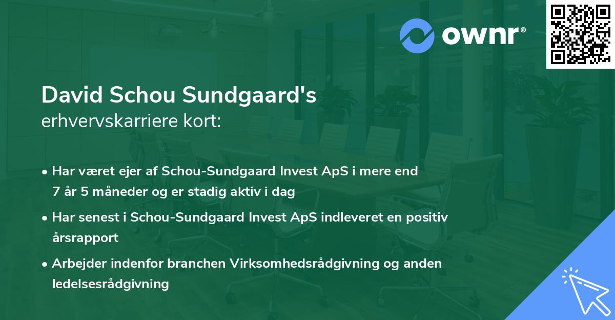 David Schou Sundgaard's erhvervskarriere kort