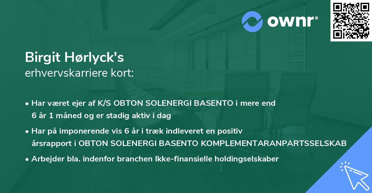 Birgit Hørlyck's erhvervskarriere kort