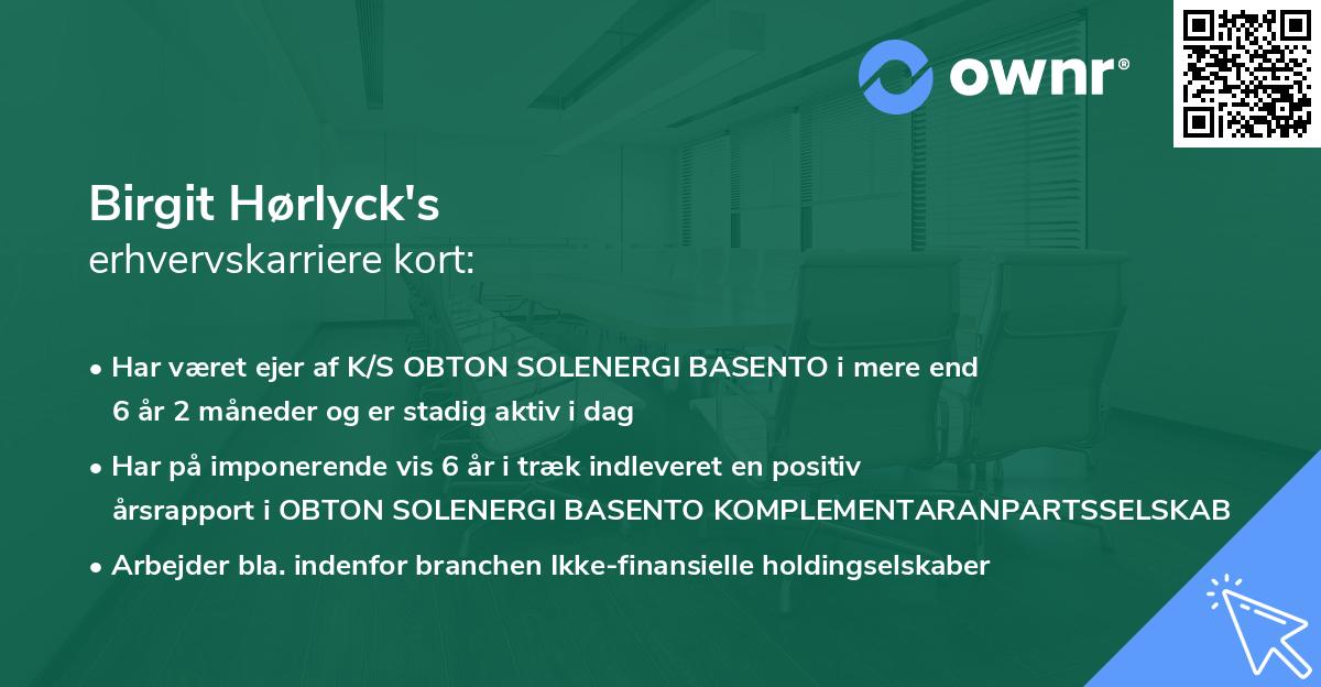 Birgit Hørlyck's erhvervskarriere kort