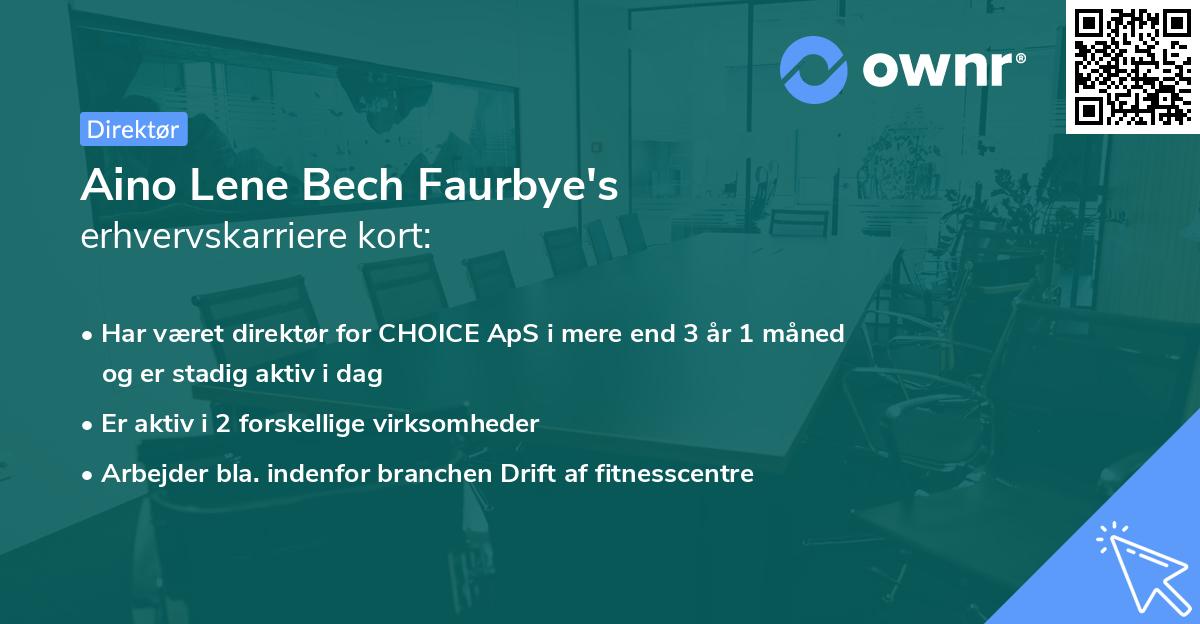 Aino Lene Bech Faurbye's erhvervskarriere kort