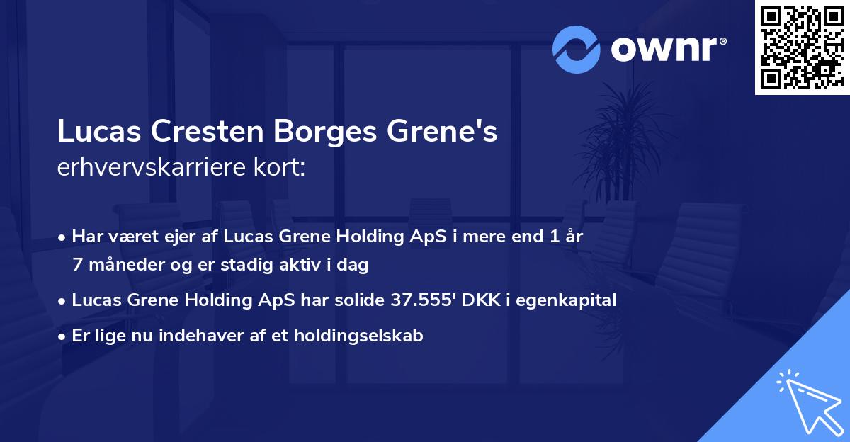 Lucas Cresten Borges Grene's erhvervskarriere kort